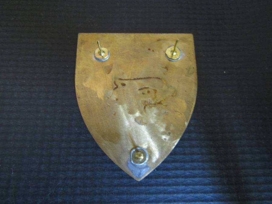 SADF 2 Parachute  Battalion flash. Pin s intact