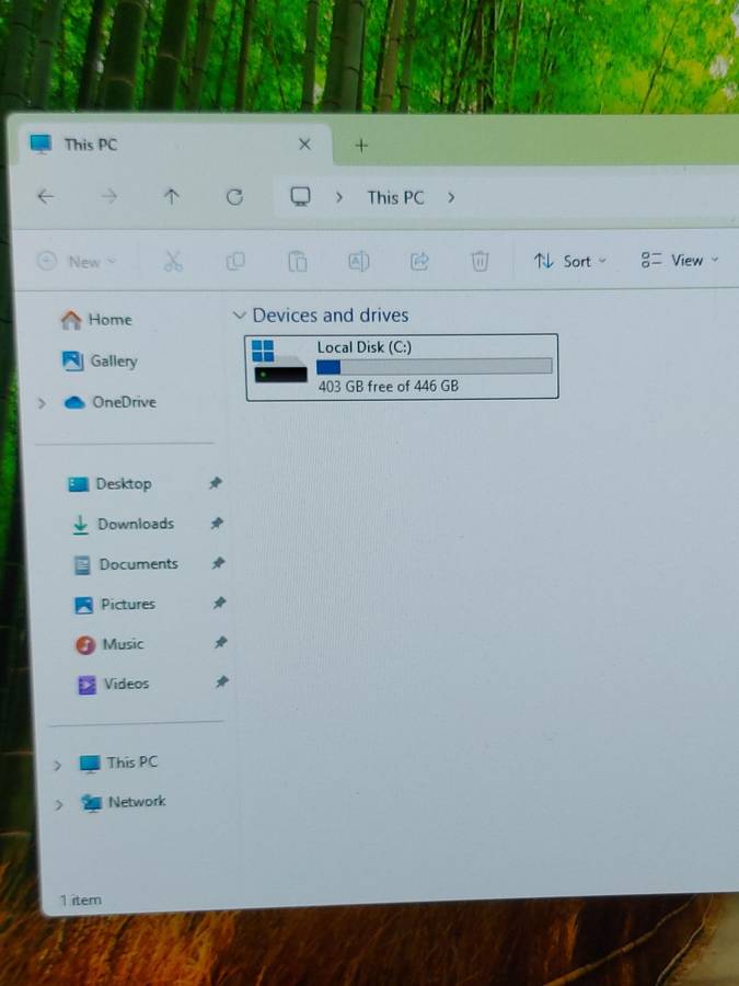 480gb M.2 Nvme Gen 4 (Windows 11 installed)