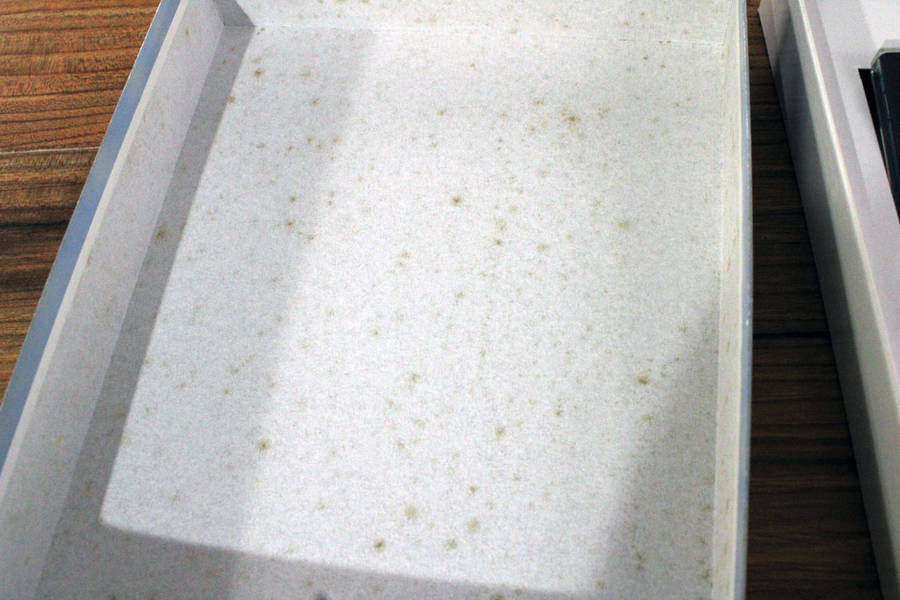 Vintage Big box PC game: Alien Nations (CD)