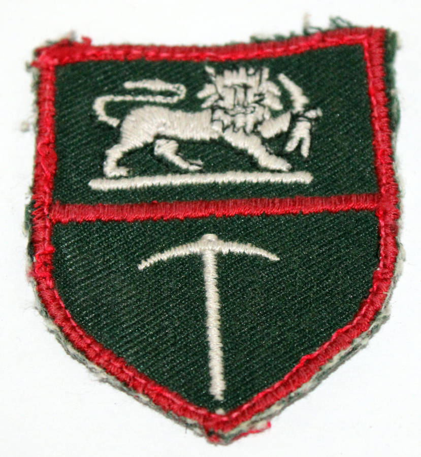 Rhodesian Army flash