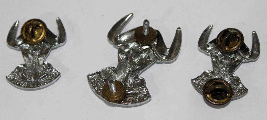 Regiment Port Natal badge lot