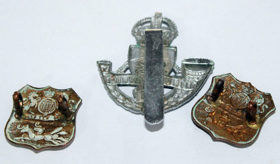 Royal Durban Light Infantry badge set