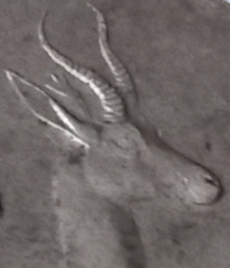 1966 1 RAND TAGG-EAR (AFR) ONLY 600 KNOWN