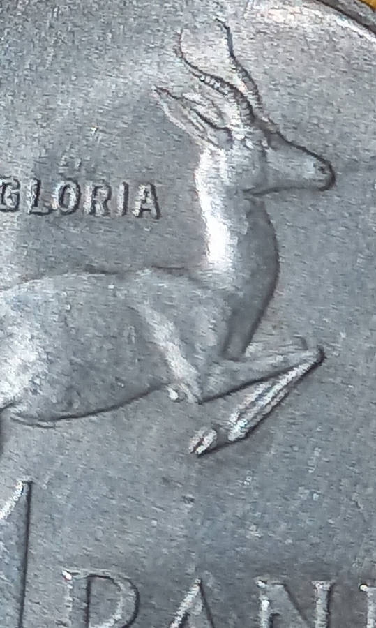 1966 SILVER 1RAND EAR TAGG. ONLY 600 KNOWN. 1 of 2