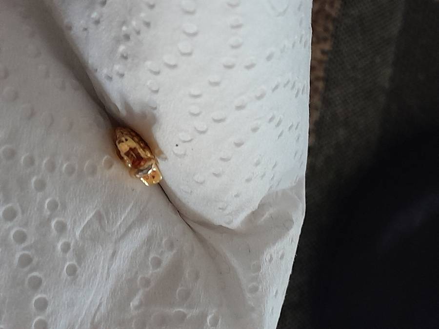 Natural 1.25 Ct Mozambique Garnet Pair + 18 k Gold owl amulet