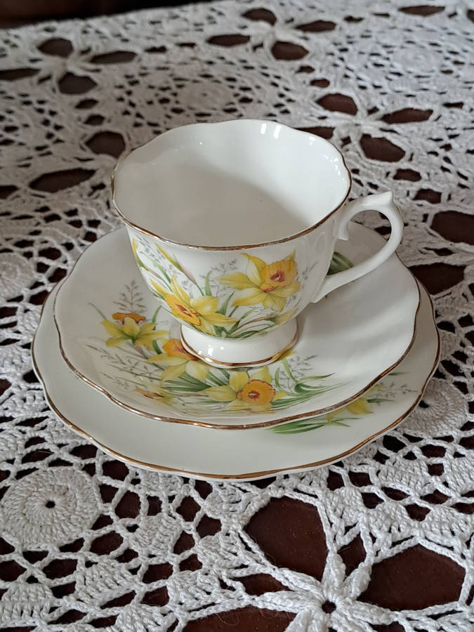 rare  Royal Albert trio Friendship series Daffodil beautiful