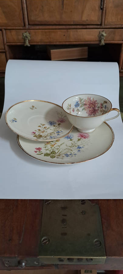 Hutschenreuther / Bavaria trio beautiful