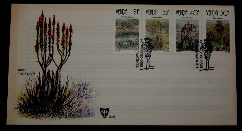 Venda Aloes cover*** crazy low start***