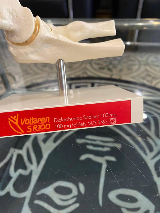 Human Elbow Joint Case