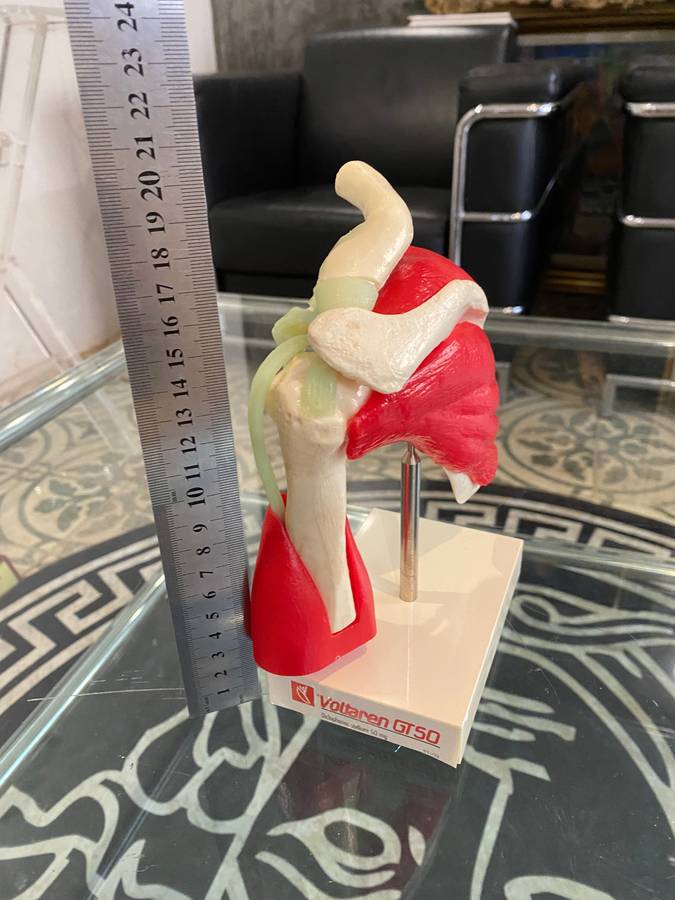 Voltaren Gel 50g for Human Shoulder Joint