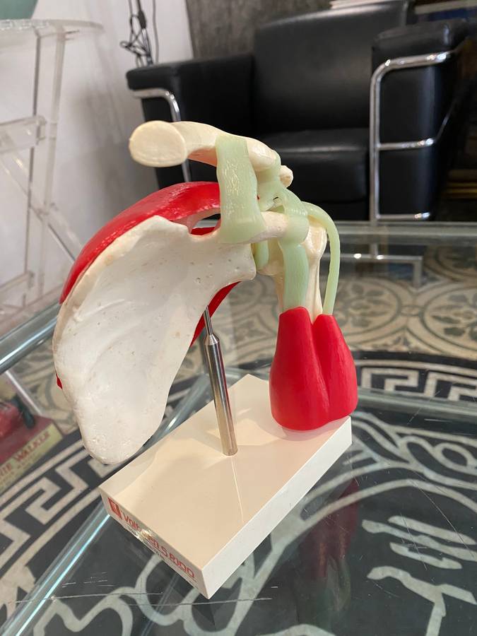 Voltaren Gel 50g for Human Shoulder Joint