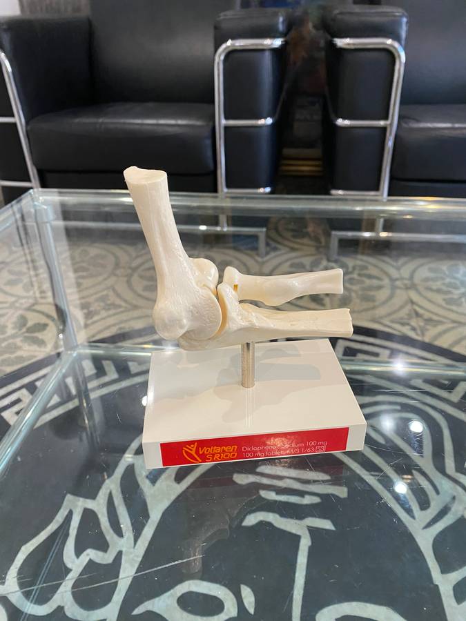 Human Elbow Joint Case