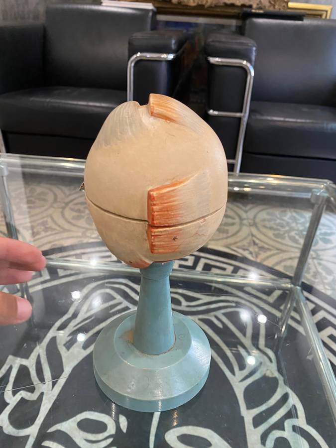 Anatomical Eye Model 1920s