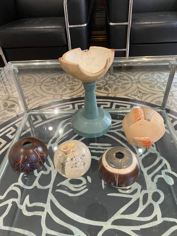 Anatomical Eye Model 1920s