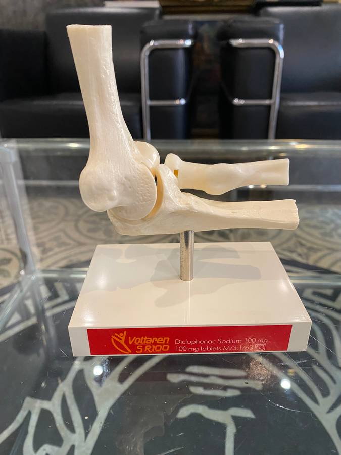 Human Elbow Joint Case