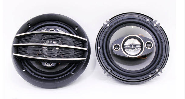 Ice Power IPS-1631 6 500w 4way Speakers