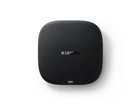 Introducing Xiaomi Mi Box Gen 3 Goggle and Netflix Certified 32GB Android Tv Box Wi-Fi 6e