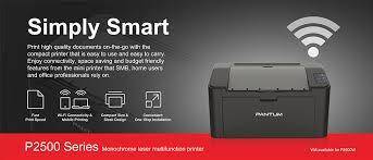*LATE ENTRY*Pantum P2500W 22 PPM Wifi Mono Laser Printer**perfect working*with toner,cables etc