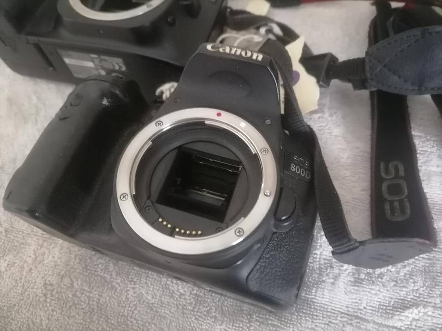 LOT OF 2 CAMERAS*ONE BID FOR LOT*CANON EOS800D+CANON EOS30D