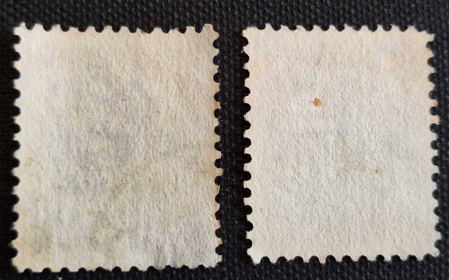 Australia: New South Wales  1890's Queen Victoria 2 Used stamps