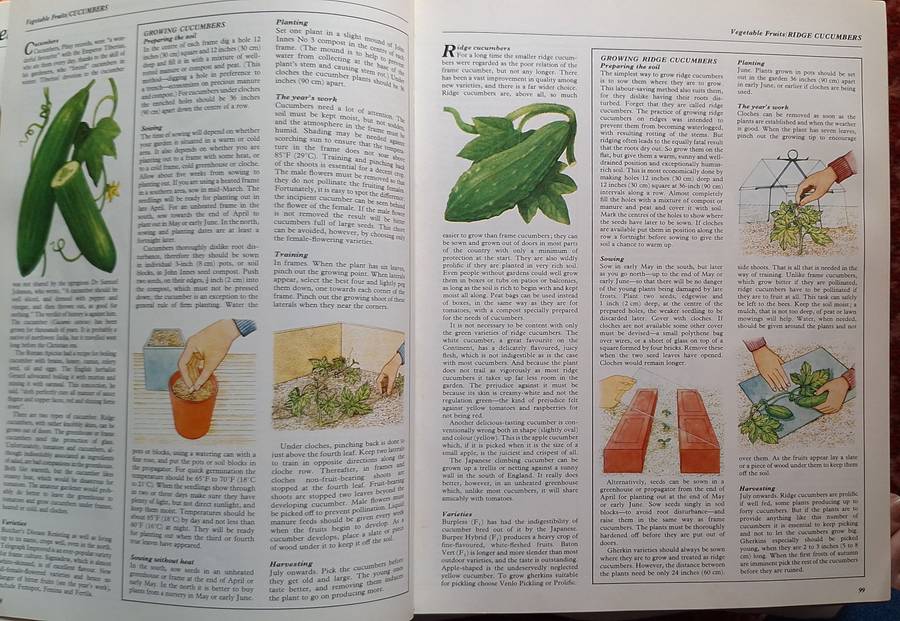 Your Kitchen Garden by George Seddon Paperback
