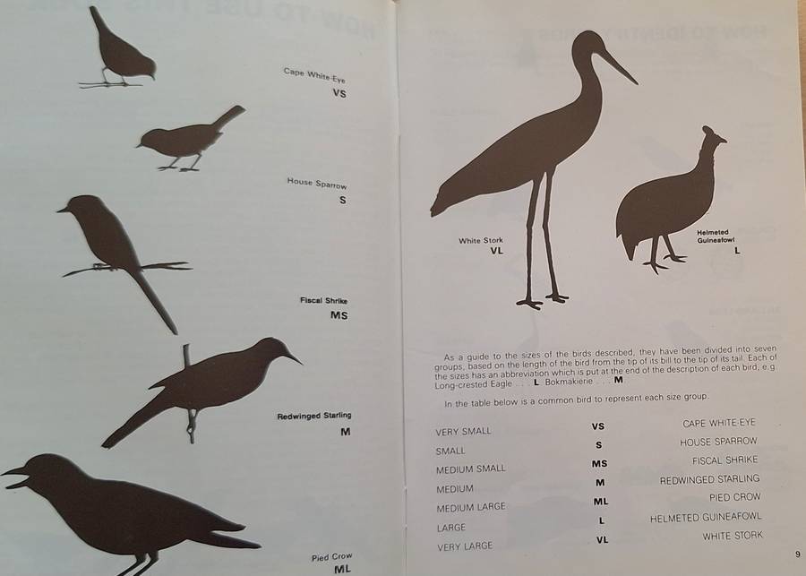 A Beginners Guide to Our Birds by Jo Oliver Paperback A Wildlife Handbook