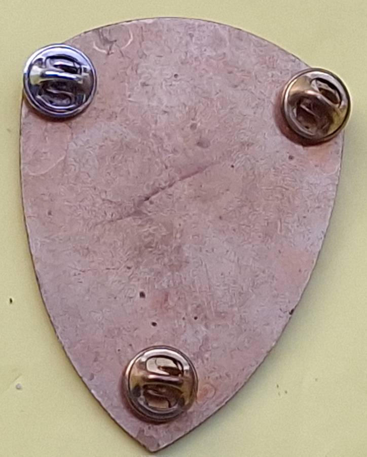 SADF 3 Field Ambulance Metal Flash