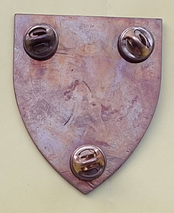 SADF Northern Transvaal Command Metal Flash