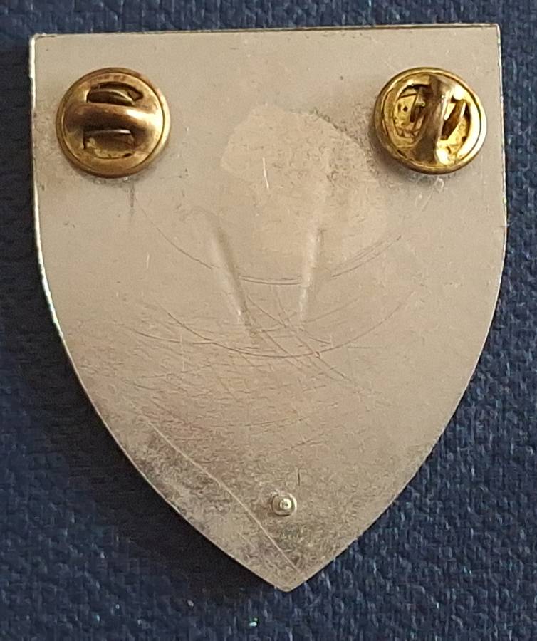 SADF 8 SA Infantry Battalion Metal Flash (Darker Brown Type)