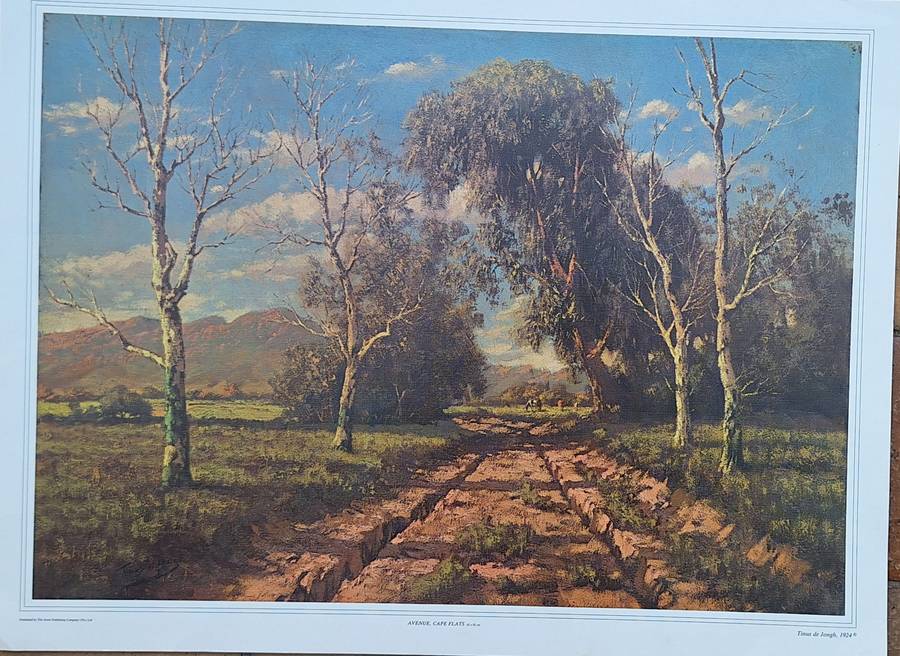 Unframed Reproduction Tinus de Jongh  Avenue, Cape Flats