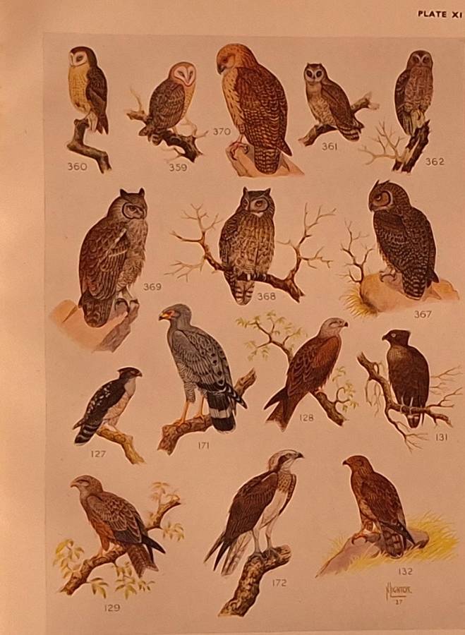 The Birds of South Africa by Dr Austin Roberts Hardcover 1942 Third Impression