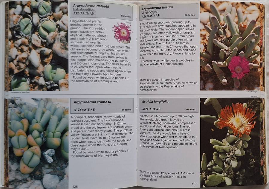 Namaqualand South African Wild Flower Guide 1 Text by Annelise le Roux  2005 3rd Revised Edition