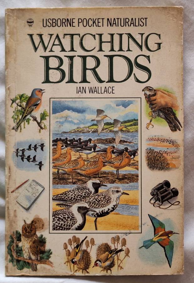 Watching Birds by Ian Wallace Paperback
