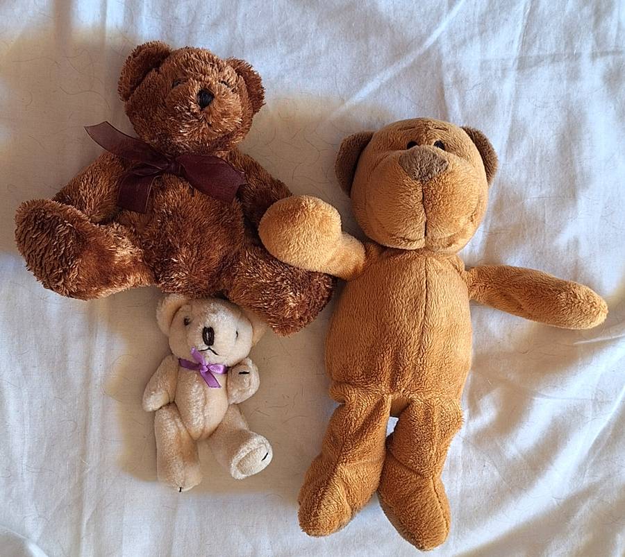 Teddy Bears