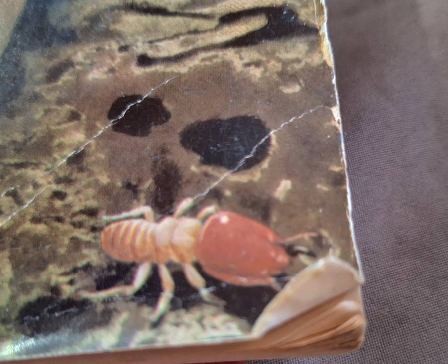 The Soul of the White Ant by Eugene Marais Paperback