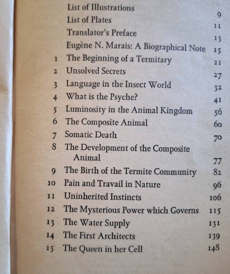 The Soul of the White Ant by Eugene Marais Paperback