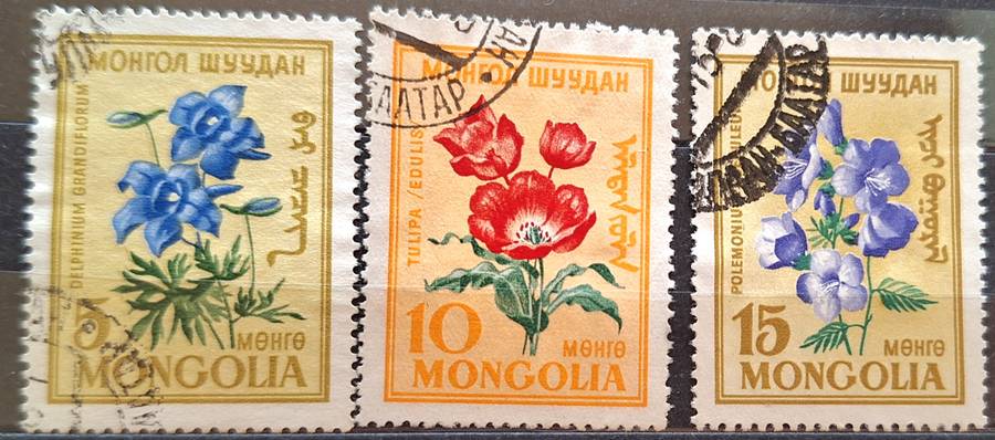 Mongolia 1960 Flowers 3 Used stamps
