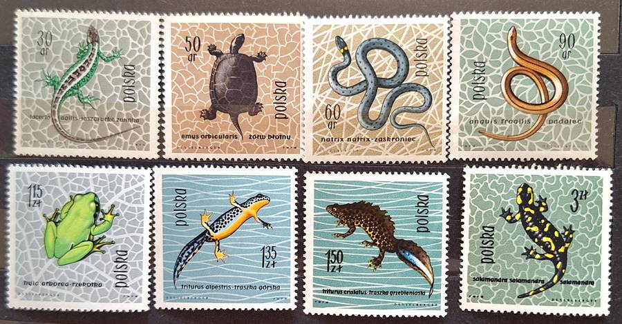 Poland 1963 Fauna Snake Lizard  8 Mint stamps