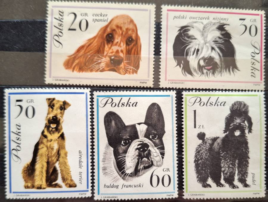 Poland 1963 Dogs 5 Mint stamps