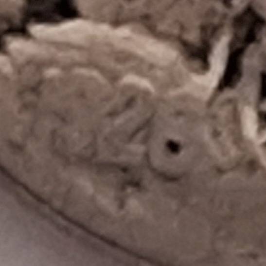 United States of America 1928 5 Cents "Buffalo Nickel" Copper-nickel