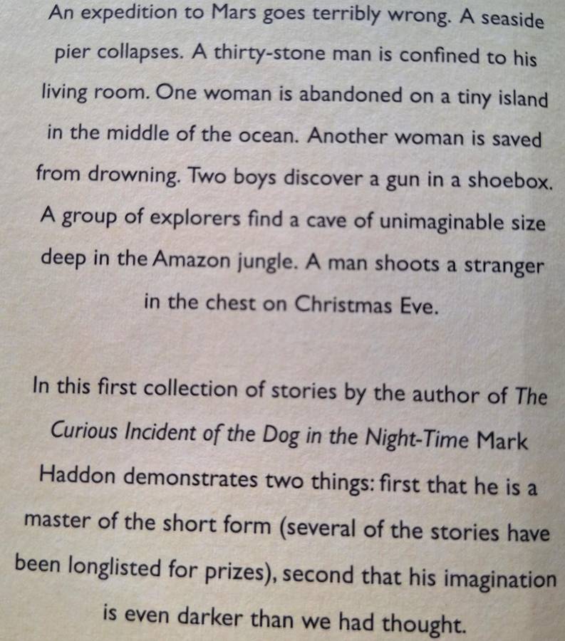 The Pier Falls by Mark Haddon Paperback