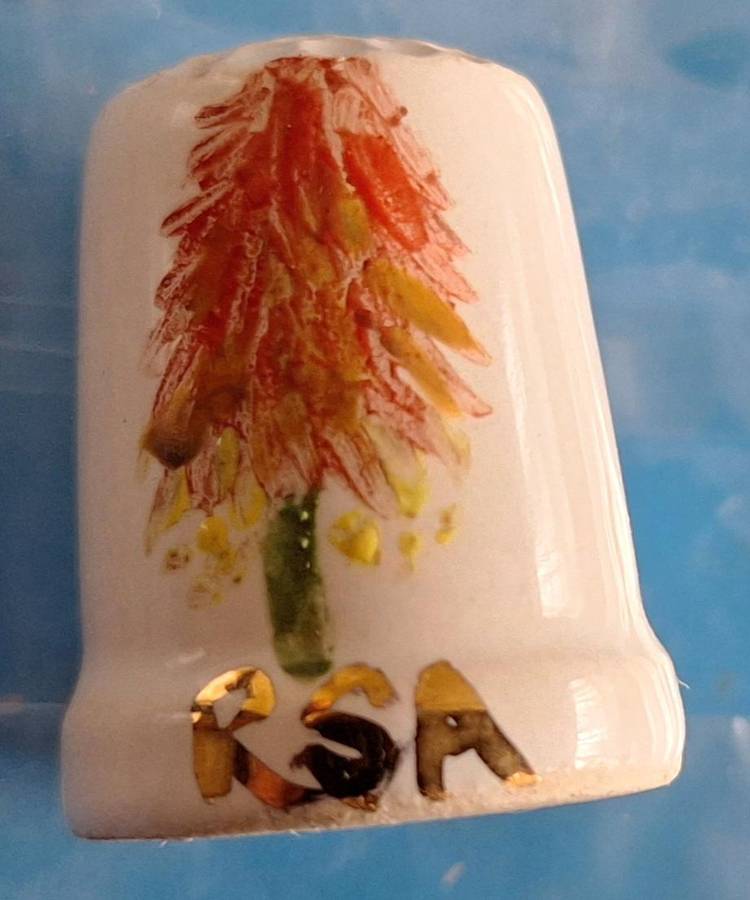 Thimble Betty's Bay RSA (Red Hot Poker and Strelitzia)