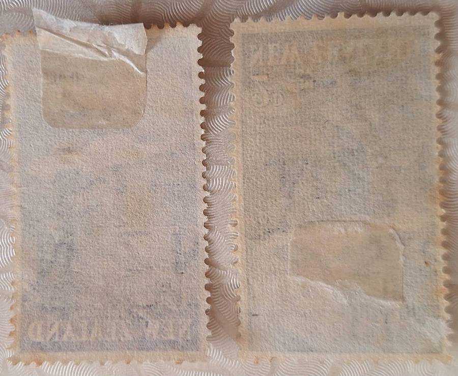 New Zealand 1954 Health Issue Set of 2 Used Hinged stamps