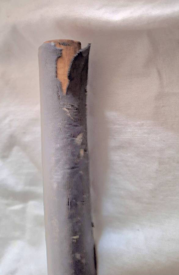 Miniature Cricket Bat South Africa Versus West Indies in South Africa with 12 signatures