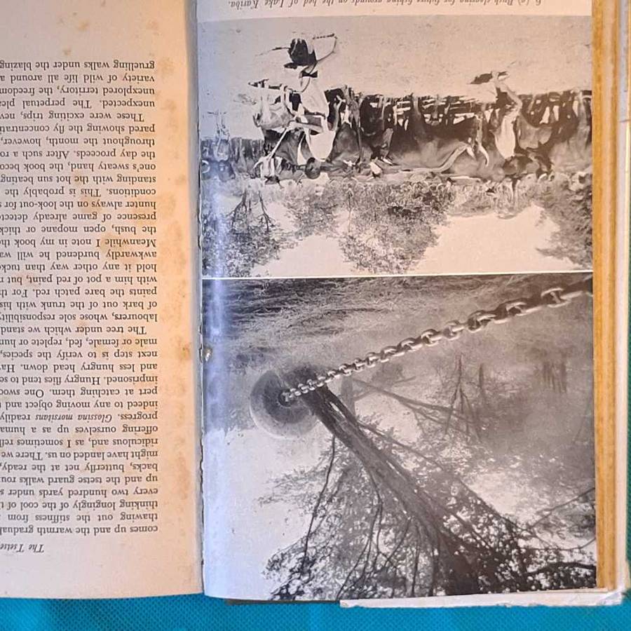 Elephant Valley by Elizabeth Balneaves  Hardcover 1962