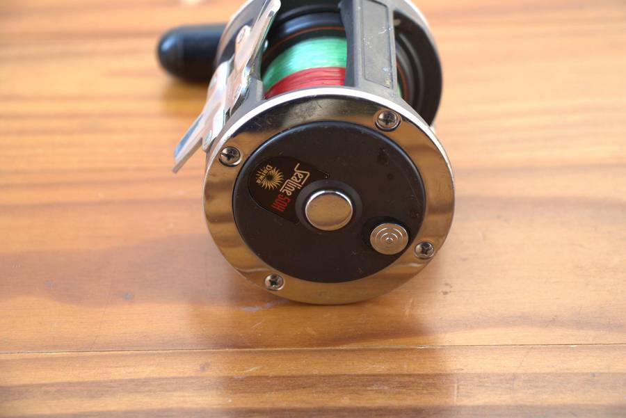 DAIWA SEALINE 50H FISHING REEL