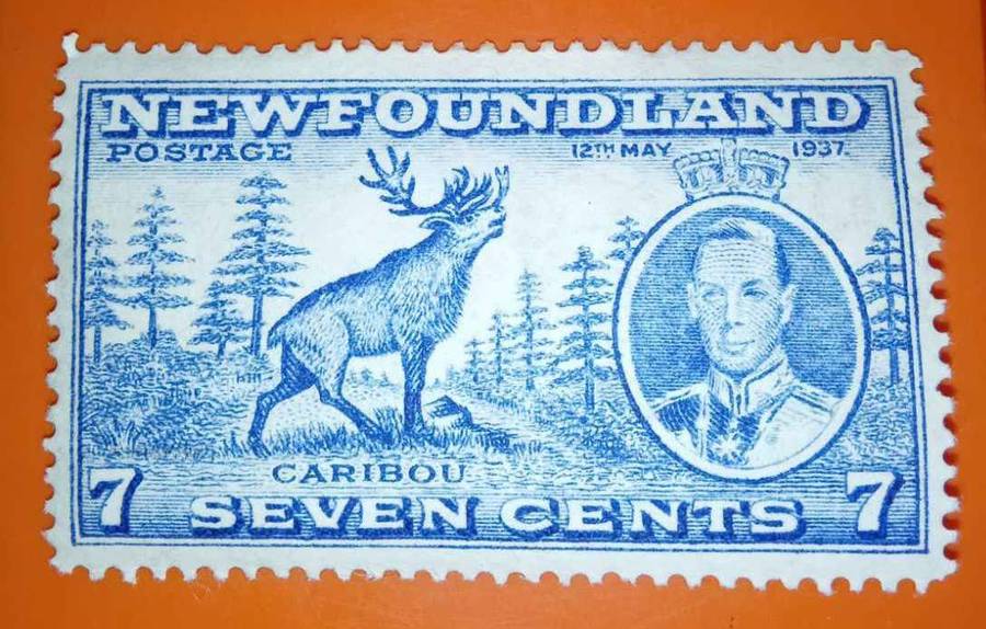 Newfoundland Stamps Complete Set