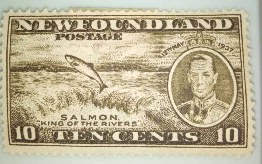 Newfoundland Stamps Complete Set