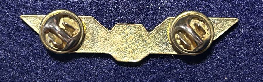 South African Civil Aviation - 43 WINGS