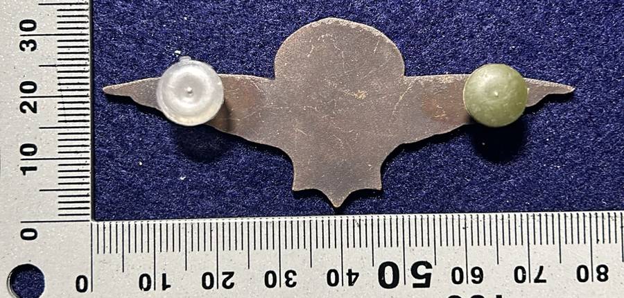 South African Civil Aviation - SAPS WINGS